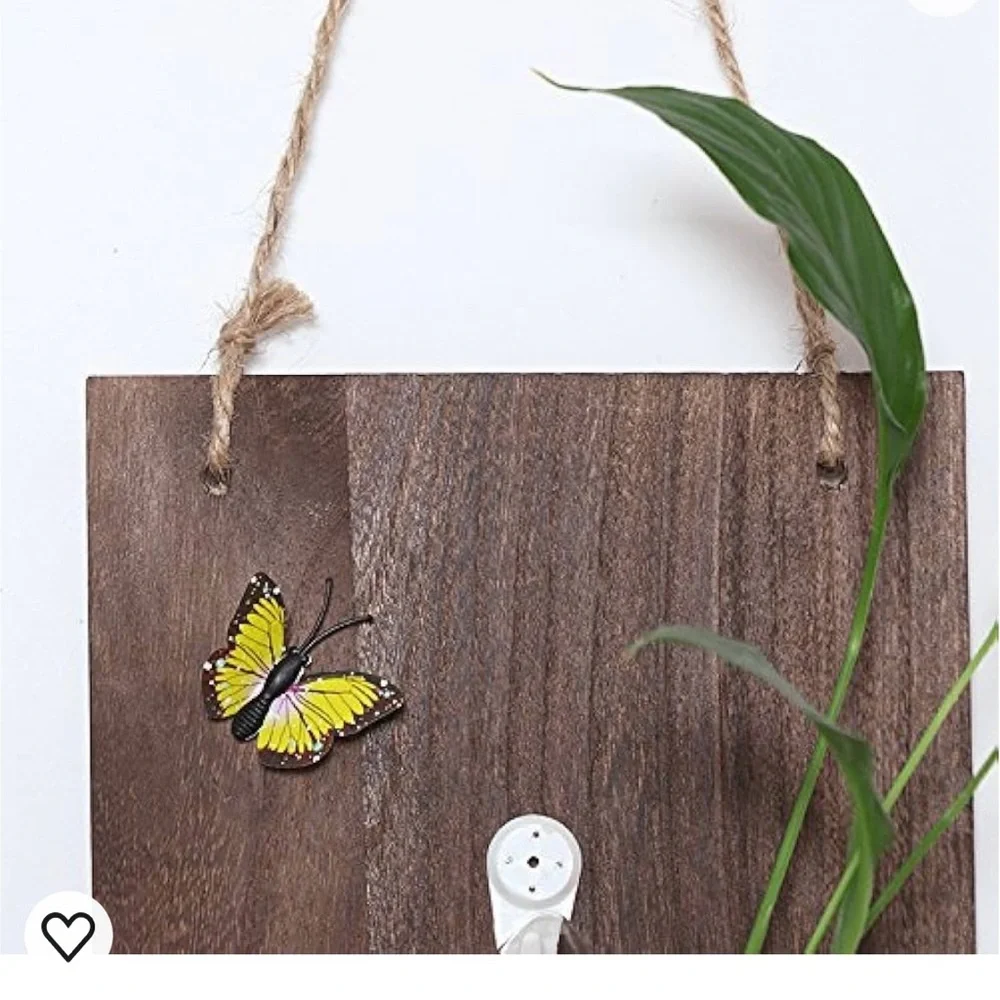 air Plant terrarium